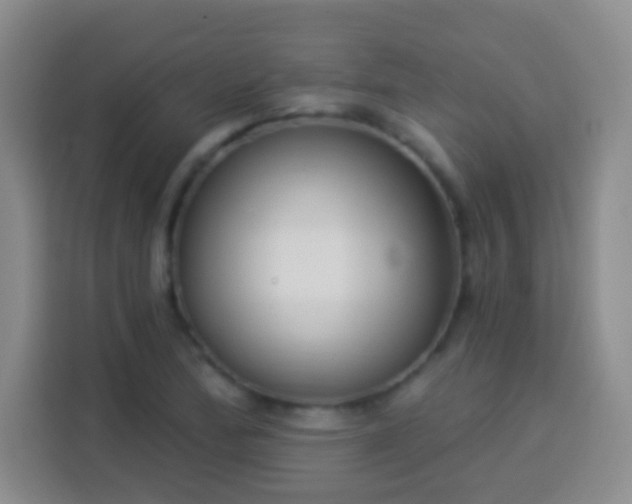 X0000113941172200910021256