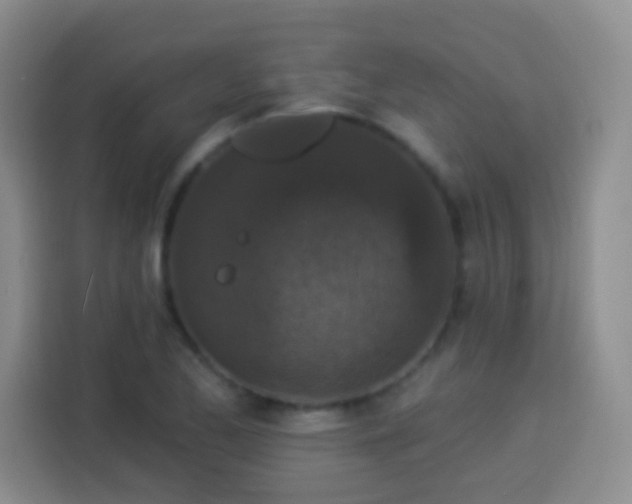 X0000113941173200910021256