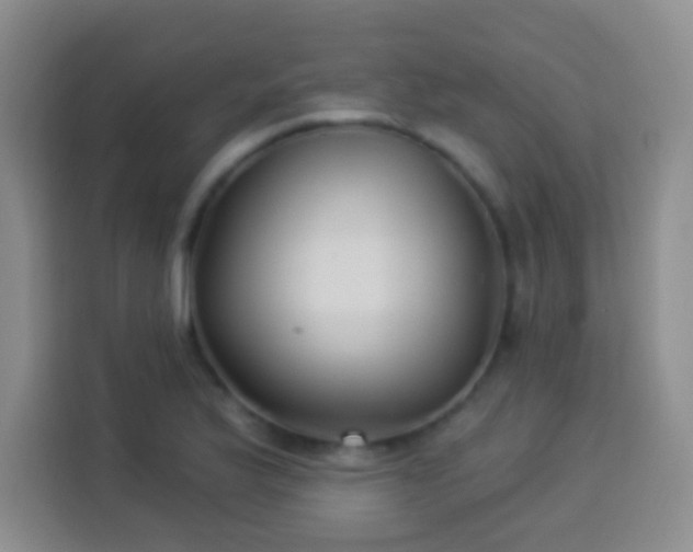 X0000113941175200910021256