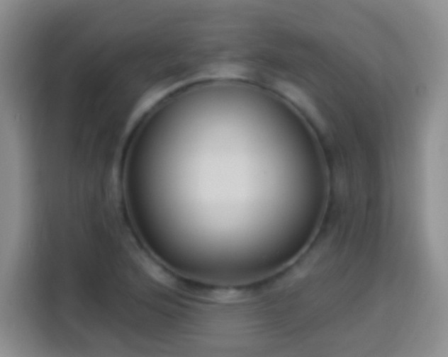 X0000113941176200910021256