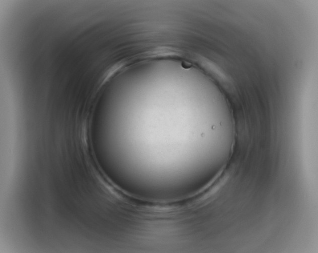 X0000113941177200910021256