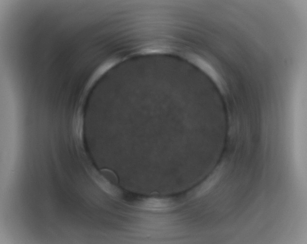 X0000113941179200910021256