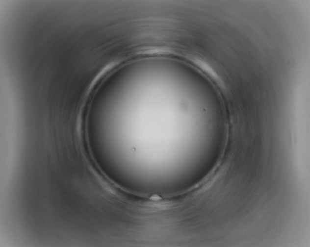 X0000113941181200910021256