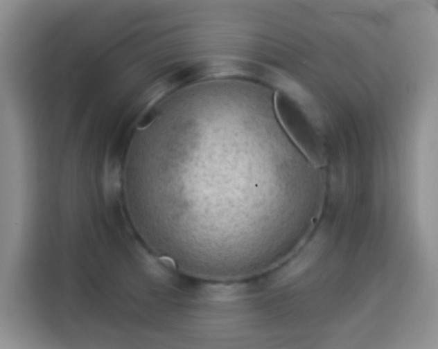 X0000113941185200910021256