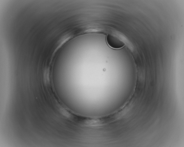 X0000113941186200910021256