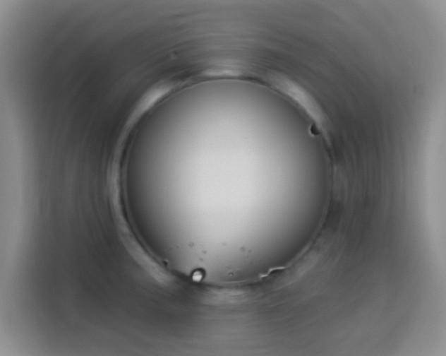 X0000113941187200910021256