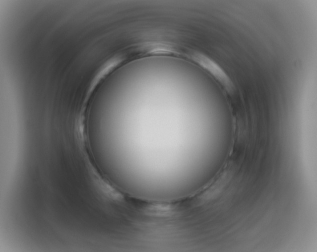 X0000113941190200910021256