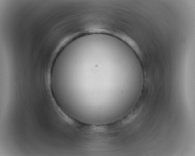 X0000113941191200910021256