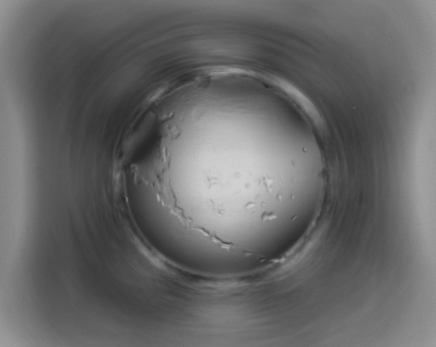 X0000113941193200910021256