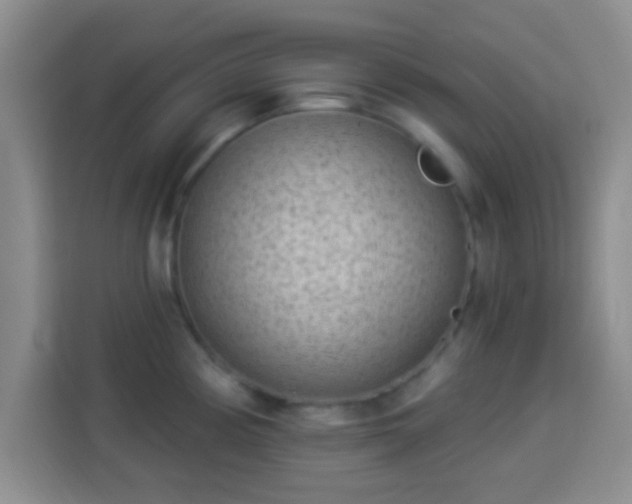 X0000113941194200910021256