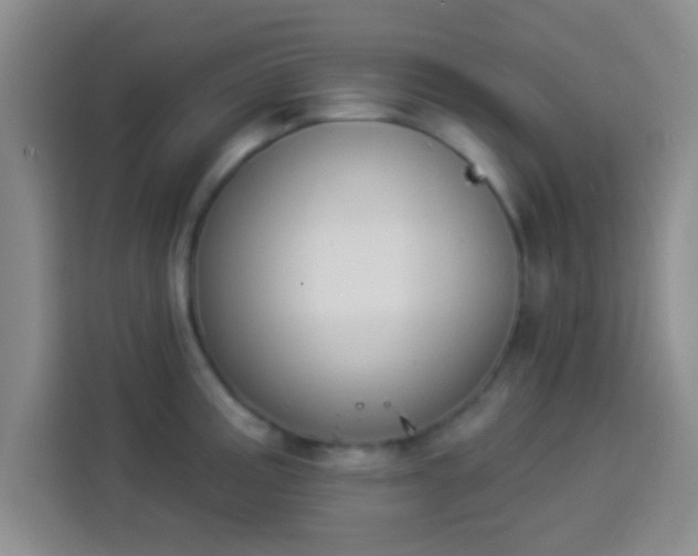 X0000113941195200910021256