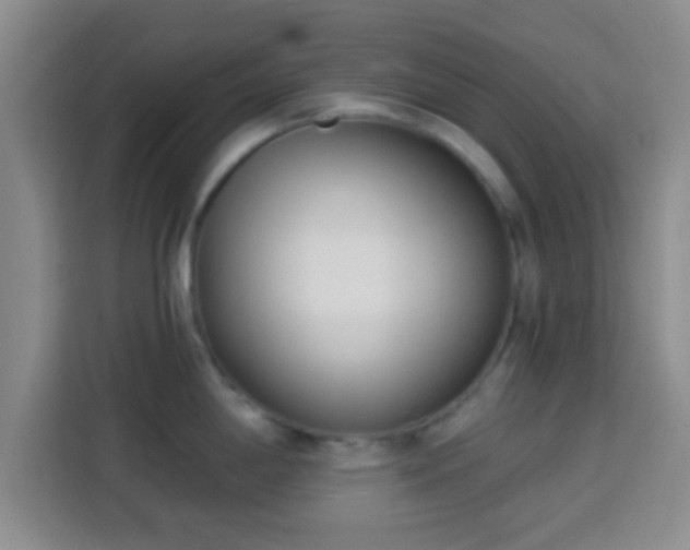 X0000113941198200910021256