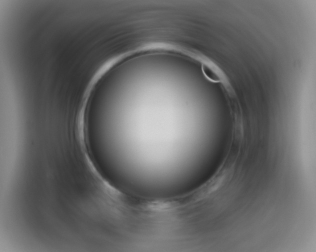 X0000113941199200910021256