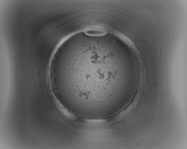 X0000113941200200910021256