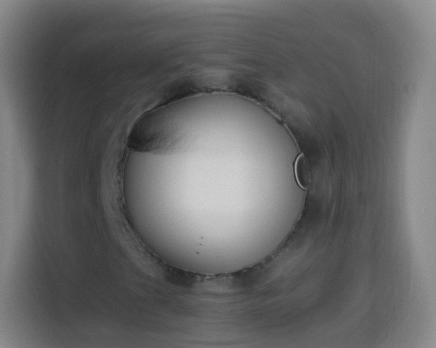 X0000113941201200910021255