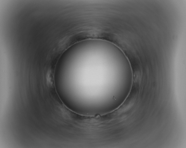 X0000113941202200910021255