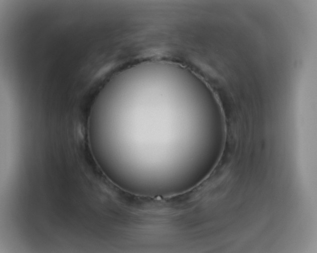 X0000113941206200910021255