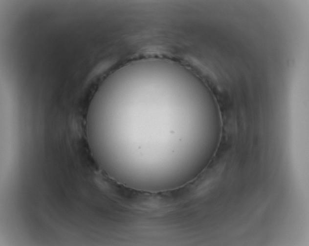 X0000113941207200910021255