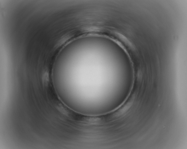 X0000113941209200910021255