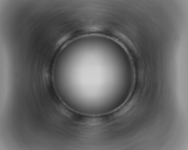 X0000113941210200910021256