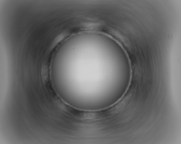 X0000113941211200910021256