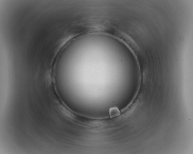 X0000113941212200910021256