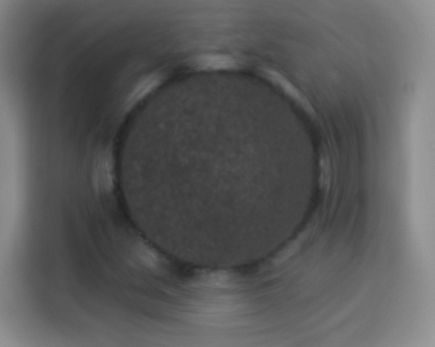 X0000113941213200910021256