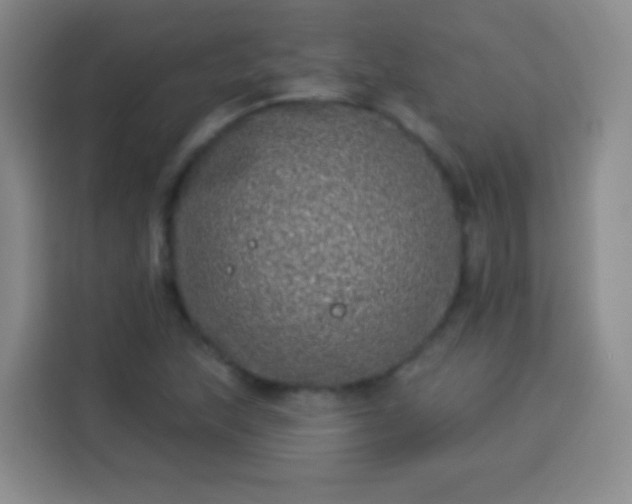 X0000113941215200910021256