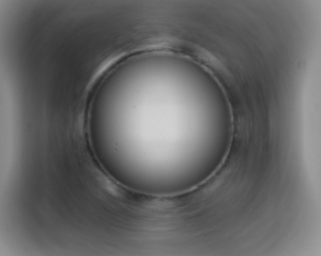 X0000113941216200910021256