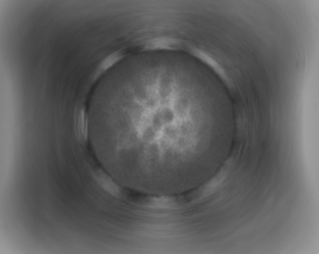 X0000113941219200910021256