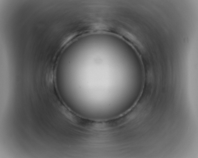 X0000113941220200910021256