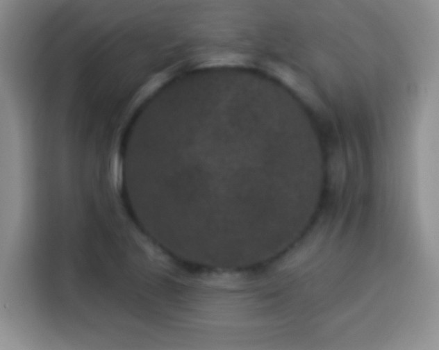 X0000113941221200910021256