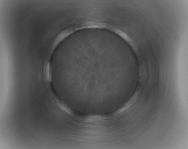 X0000113941223200910021256