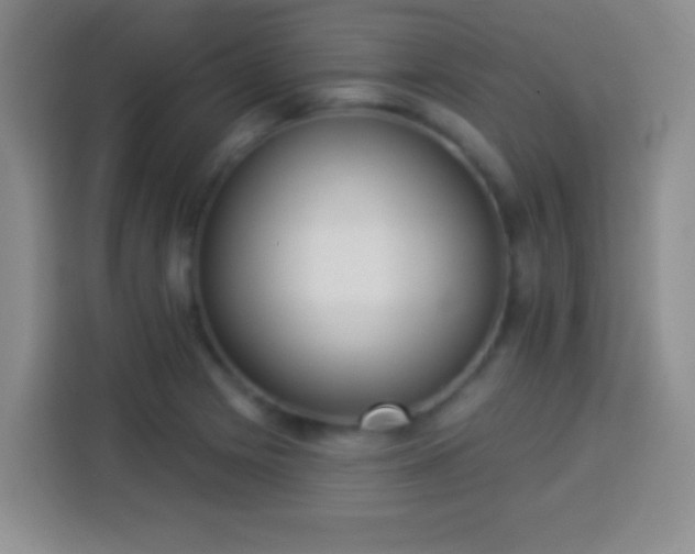 X0000113941225200910021256