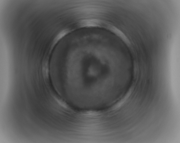 X0000113941226200910021256