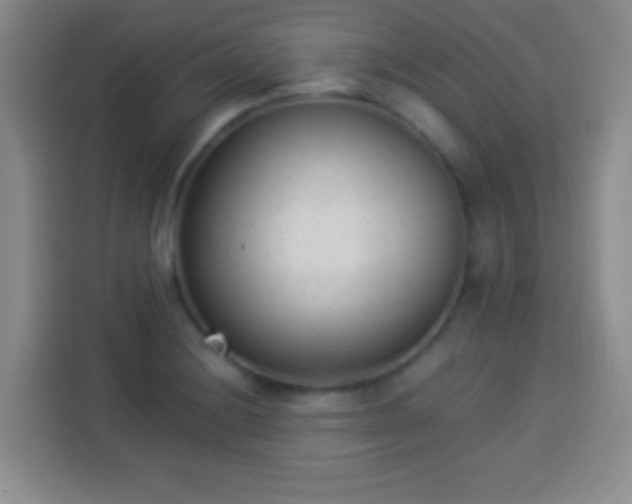 X0000113941228200910021256