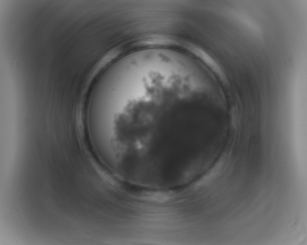 X0000113941229200910021256