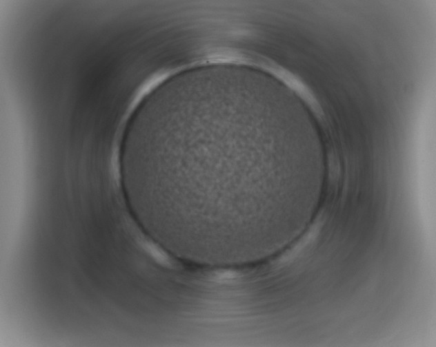 X0000113941230200910021256