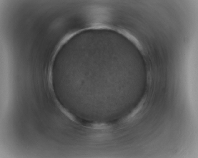 X0000113941231200910021256