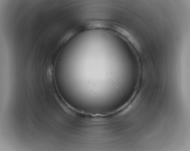 X0000113941233200910021256