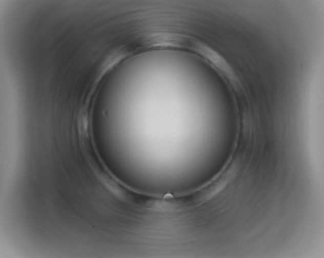 X0000113941234200910021256