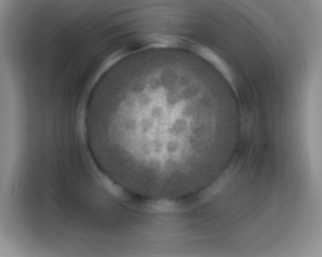 X0000113941235200910021256