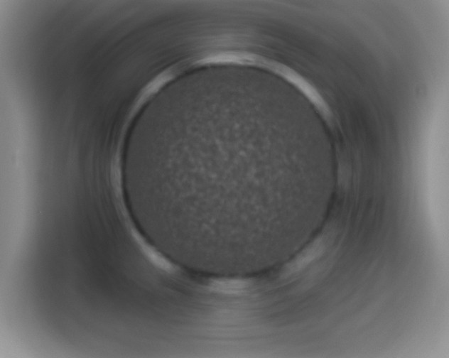 X0000113941237200910021256