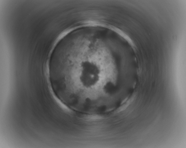 X0000113941239200910021256