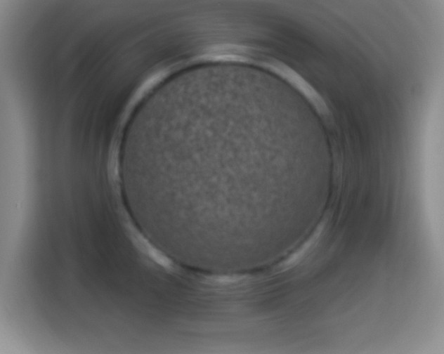 X0000113941240200910021256