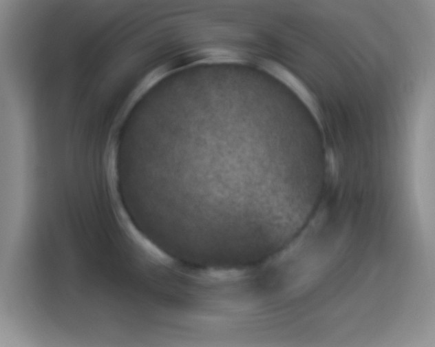 X0000113941243200910021256