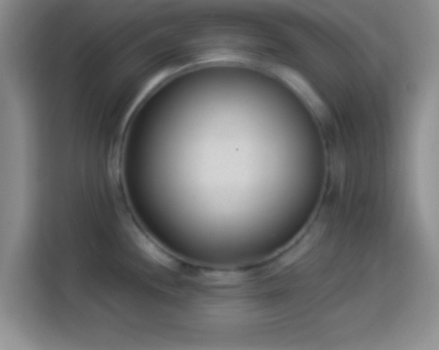 X0000113941244200910021256