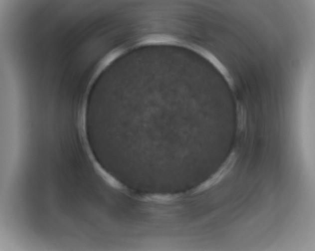 X0000113941245200910021256