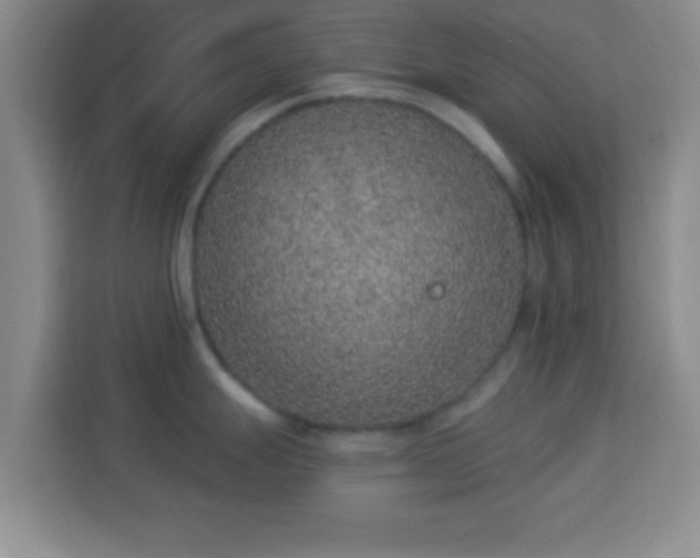 X0000113941247200910021256