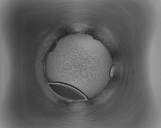 X0000113941249200910021255